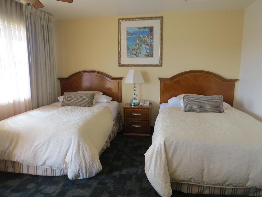 Laguna Lodge - image 4