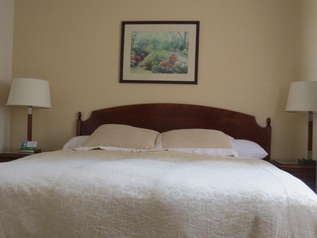 Laguna Lodge - image 6
