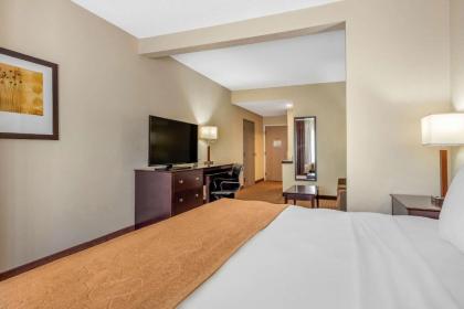 Comfort Suites - image 10