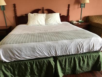 America's Best Value Inn-Marion - image 6