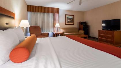 Best Western Marion Hotel - image 3