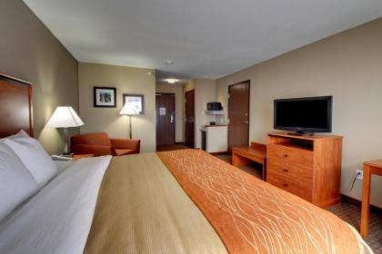 Comfort Inn & Suites Marion I-57 - image 13