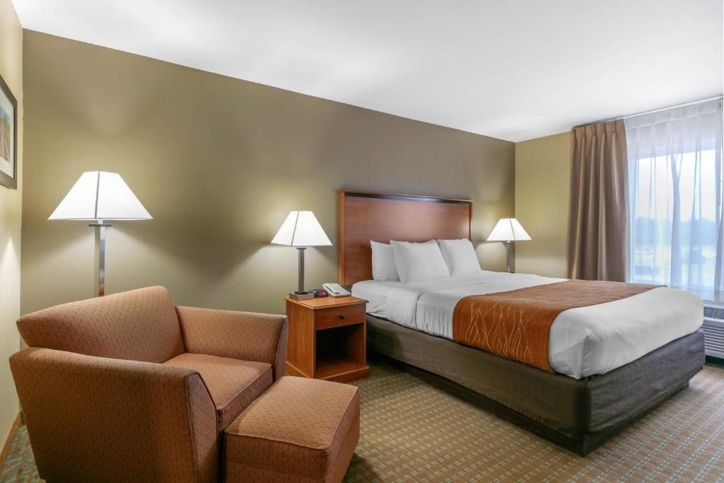 Comfort Inn & Suites Marion I-57 - image 6