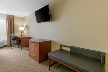 Comfort Inn & Suites Marion I-57 - image 9