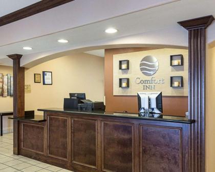 Comfort Inn Marrero-New Orleans West - image 6