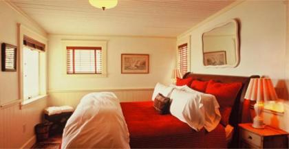 Nick's Cove - image 9