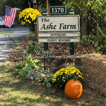 Bed and Breakfast in marshall North Carolina