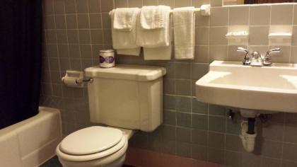 Texas Inn Motel - image 15