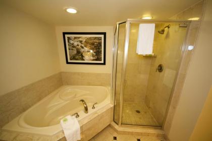 Hollywood Casino St. Louis - image 12