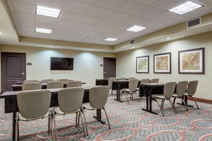 Staybridge Suites St Louis - Westport an IHG hotel - image 10