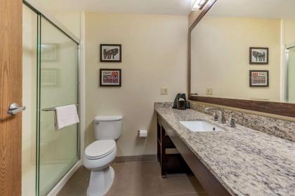 Comfort Suites Mason - image 10