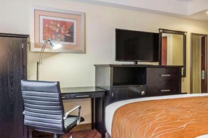 Comfort Inn & Suites LaGuardia Airport - image 3