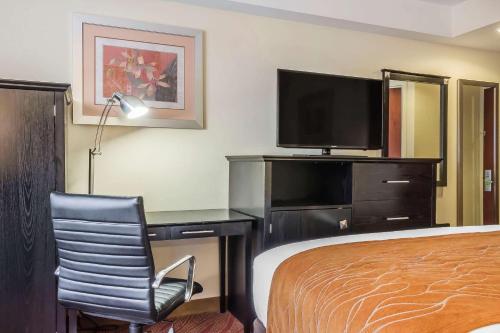 Comfort Inn & Suites LaGuardia Airport - image 3
