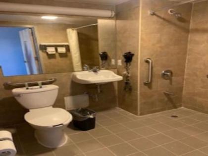 BLUE BIRD INN - image 5