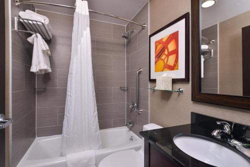 Holiday Inn New York-JFK Airport Area - image 2