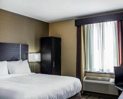 Quality Inn - image 5