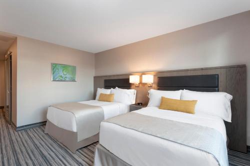 Wyndham Garden LaGuardia South - image 5