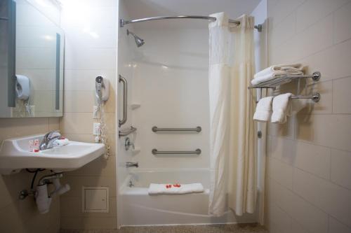 Airport Plaza Hotel JFK Airport - image 2