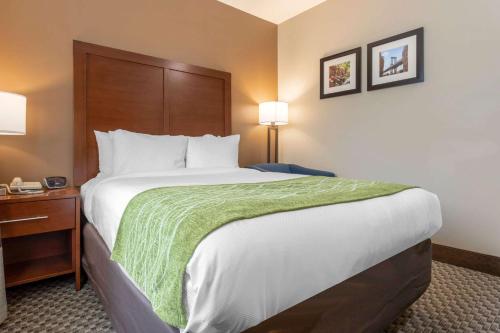Comfort Inn & Suites near JFK Air Train - image 2