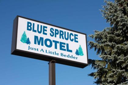 Blue Spruce Motel - image 15