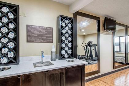 Comfort Inn Matteson - Chicago - image 10