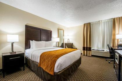 Comfort Inn Matteson - Chicago - image 12