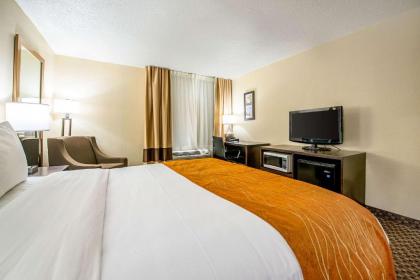 Comfort Inn Matteson - Chicago - image 2
