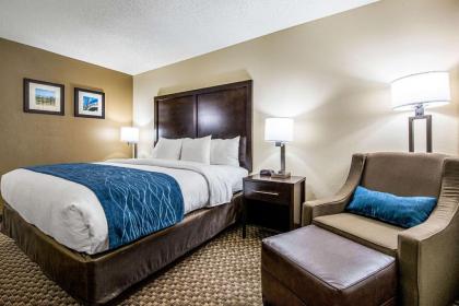 Comfort Inn Matteson - Chicago - image 3