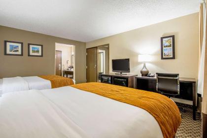 Comfort Inn Matteson - Chicago - image 4