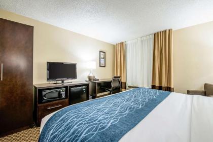 Comfort Inn Matteson - Chicago - image 5