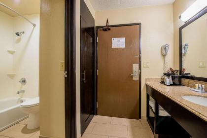 Comfort Inn Matteson - Chicago - image 6