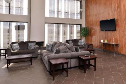 Quality Inn and Suites Matteson - image 4