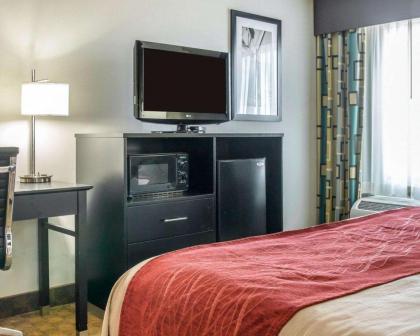 Comfort Inn & Suites Maumee - Toledo - I80-90 - image 14