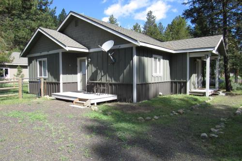 Black Dog Cabin - main image