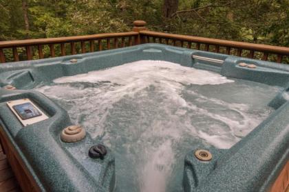 Fightingtown Creek Retreat -McCaysville GA - image 14