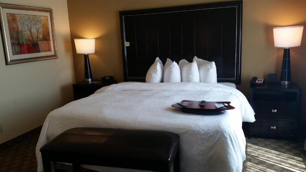 Hampton Inn & Suites McAlester - image 5