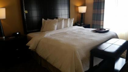 Hampton Inn & Suites McAlester - image 8