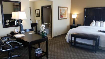 Hampton Inn & Suites McAlester - image 9