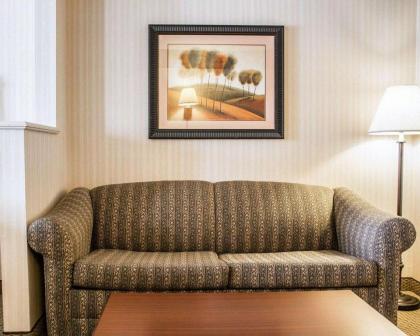 Comfort Suites McAlester - image 13