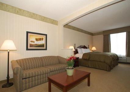 Comfort Suites McAlester - image 2