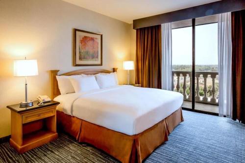 Doubletree by Hilton McAllen - image 3