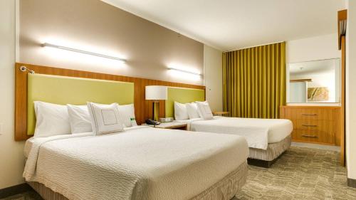 SpringHill Suites McAllen - image 2