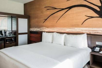Cambria Hotel McAllen Convention Center - image 5
