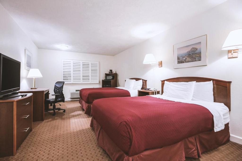 Sky-Palace Inn & Suites McCook - main image