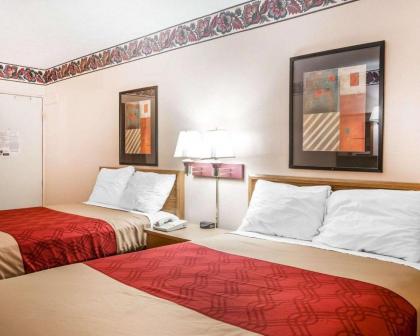 Econo Lodge McDonough - image 2