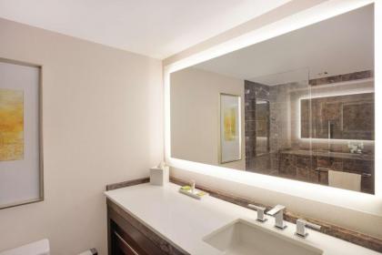 Hilton McLean Tysons Corner - image 18