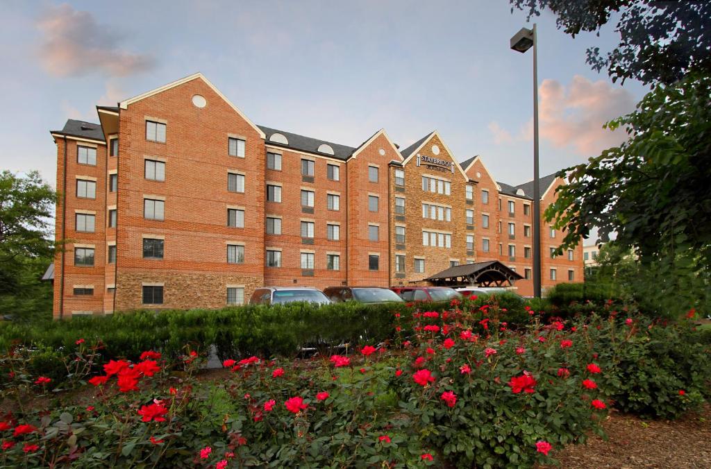 Staybridge Suites Tysons - McLean an IHG Hotel - main image