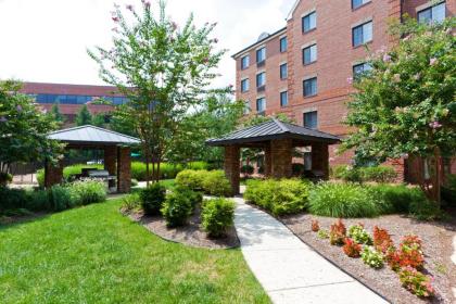 Staybridge Suites Tysons - McLean an IHG Hotel - image 10