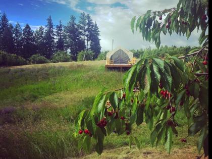 Tentrr Signature - Hidden Acres Orchards - image 15
