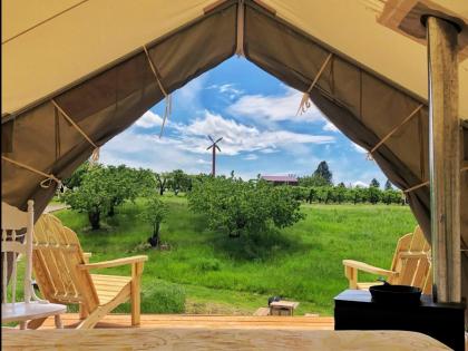 Tentrr Signature - Hidden Acres Orchards - image 3